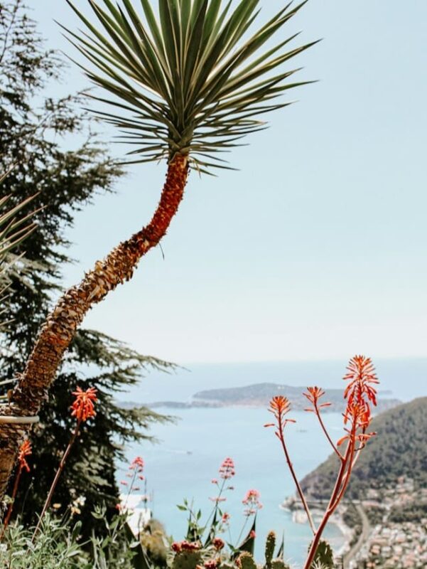 Jardin Exotique in Eze, on the French Riviera. All Things French.