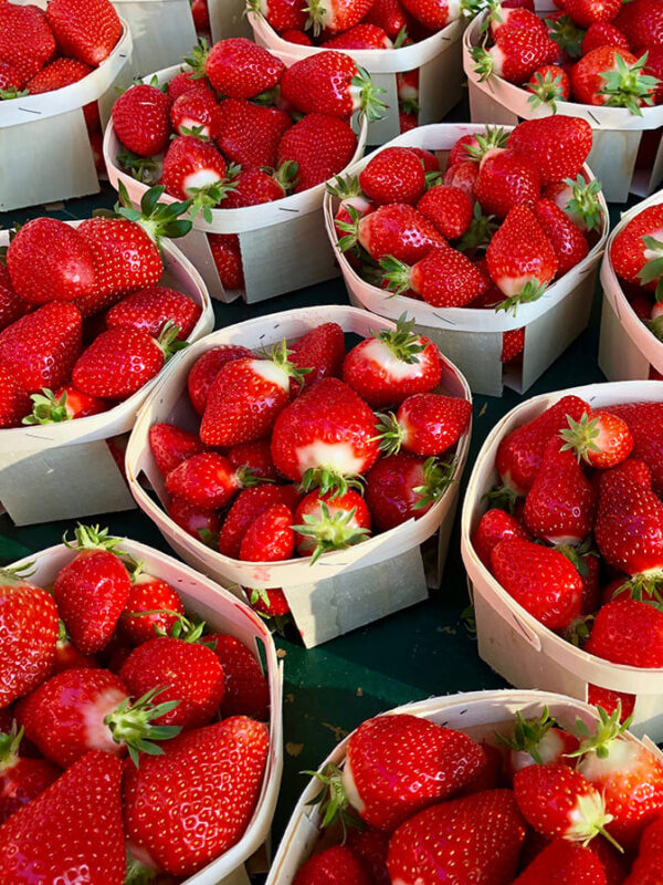 Delicious Strawberries, Arles, Gateway to the Camargue and Luberon