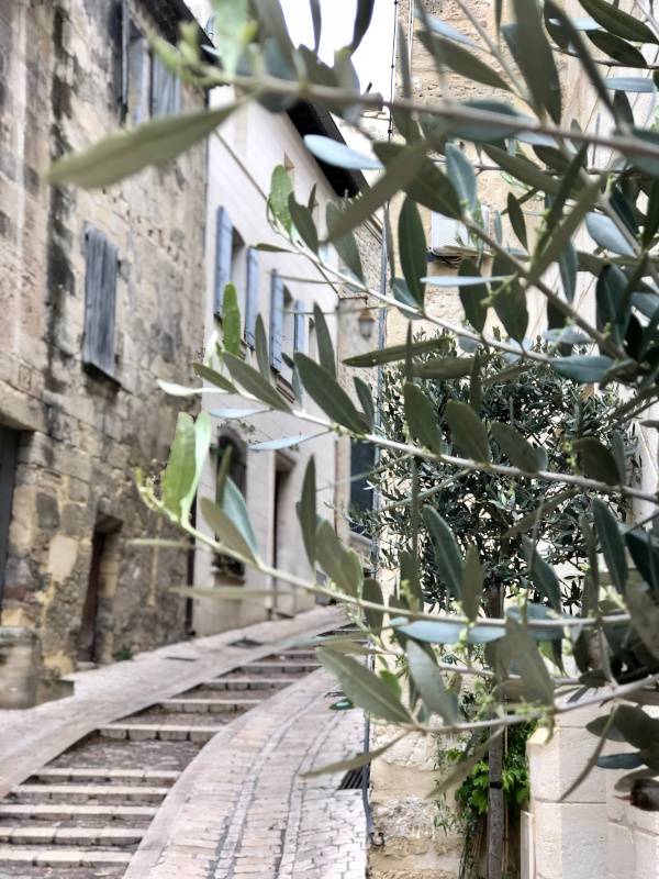 Olives and Street. Uzes. Provence Alpes Cote d'Azur. All Things French TOURS.