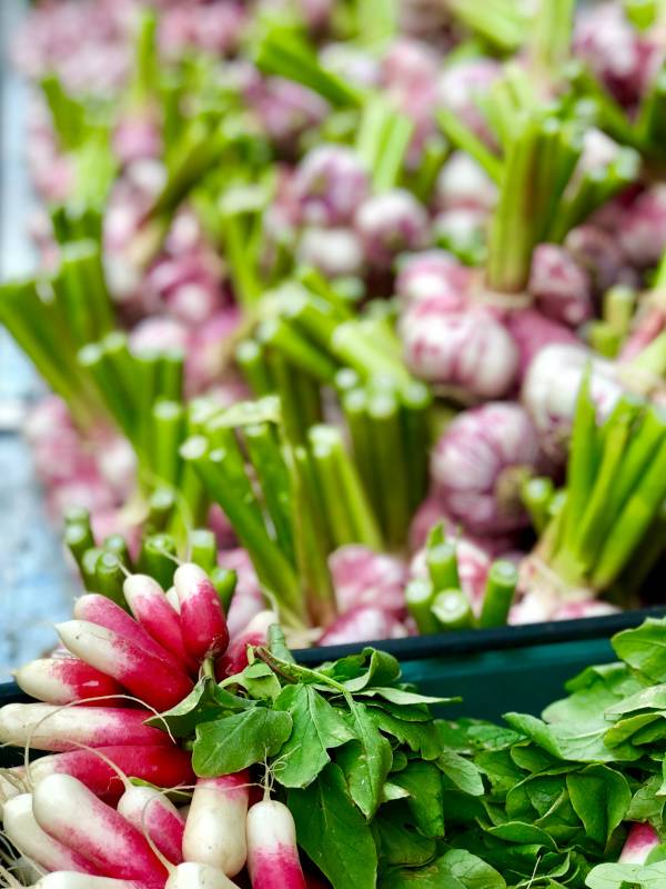 Radishes and Garlic. Uzes. Provence Alpes Cote d'Azure. All Things French TOURS