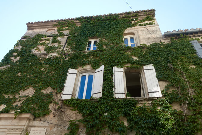 Heaven in St Remy de Provence. All Things French. Vine Covered Building
