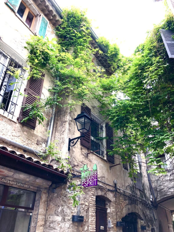 The Old Town in Antibes on the Riviera. Old Buildings