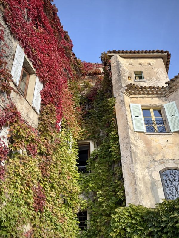 Eze French Riviera Autumn Leaves