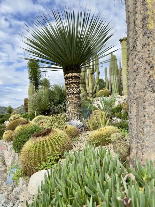 Eze French Riviera Jardin Exotique