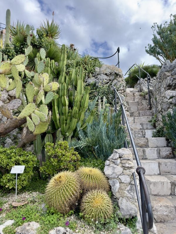 Eze French Riviera Jardin Exotique