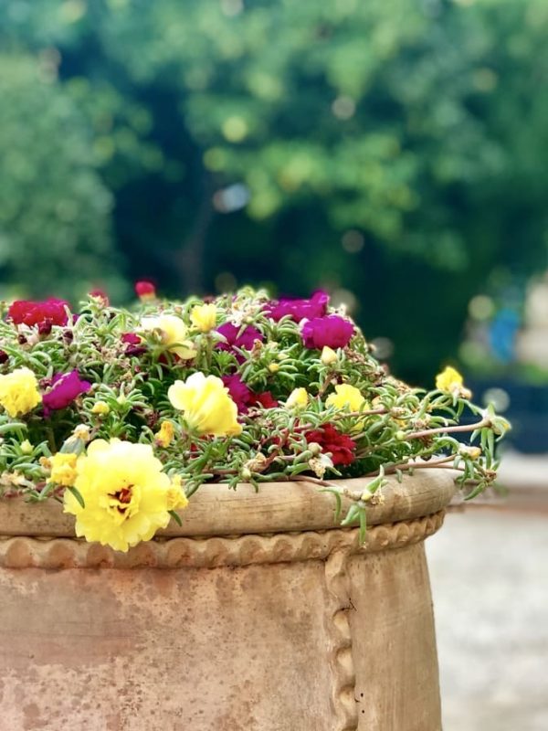 Villefranche-sur-Mer Hotel Flowerpot