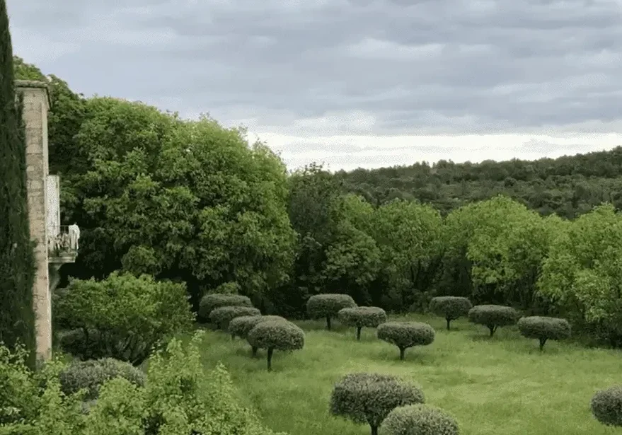 Exquisite countryside in Uzes, one of my favouite French villages.