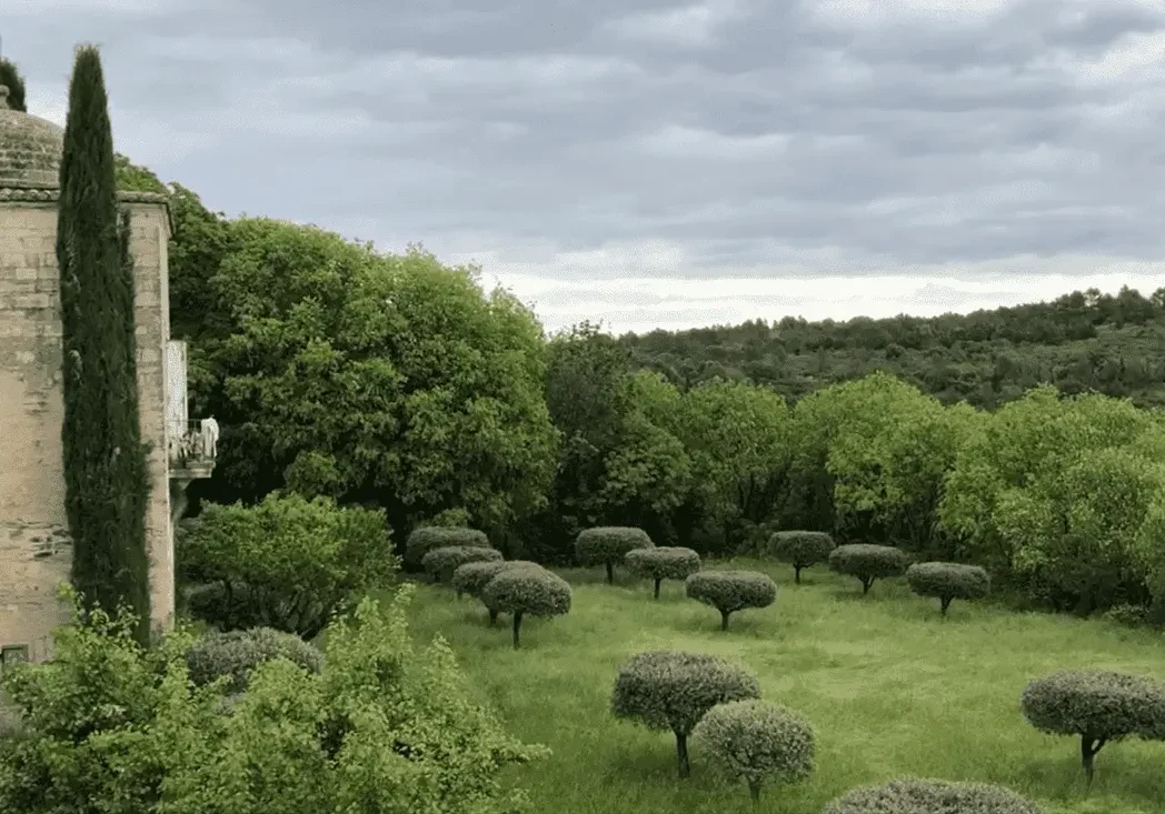 Exquisite countryside in Uzes, one of my favouite French villages.